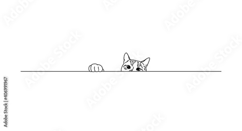 Curious tabby cat is peeking out from behind something. Cute animal face, fluffy pet looks from above. Kitten on a horizontal line. Cartoon graphic illustration, vector freehand drawing sketch