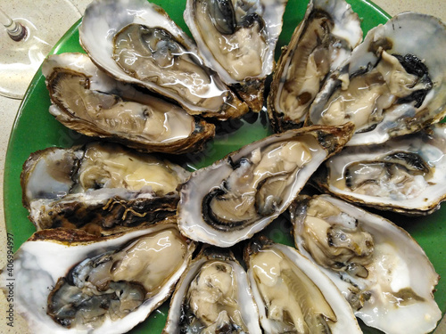 platter of large open shell fresh oyster shellfish