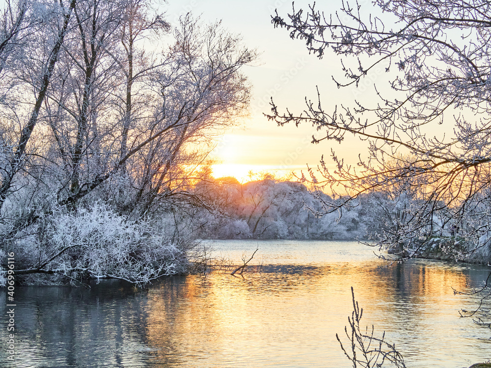 Snowy river bank. Winter sunset of the frozen forest and a river, frozen vegetation Snowy river bank. Winter sunset of the frozen forest and a river, frozen vegetation
