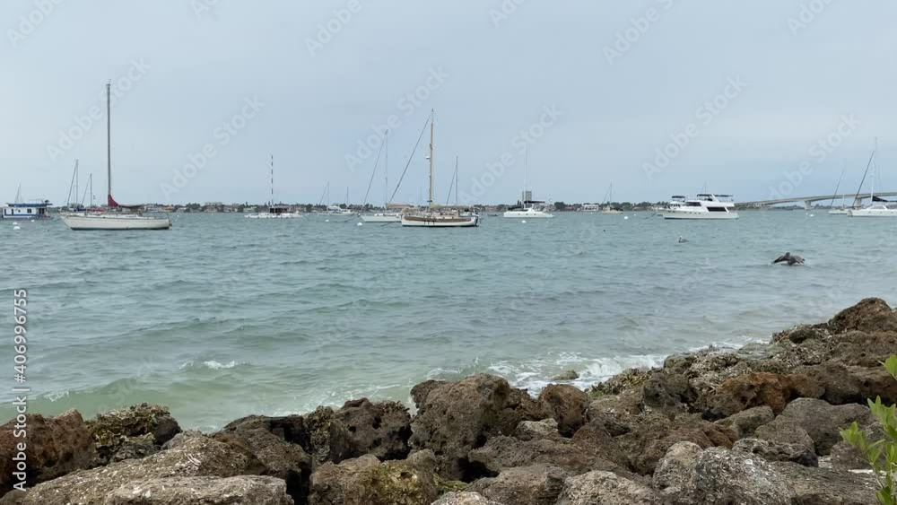 A harbor full of fishing boats and pelicans fishing near the rocky shoreline. A harbor full of fishing boats and pelicans fishing near the rocky shoreline.