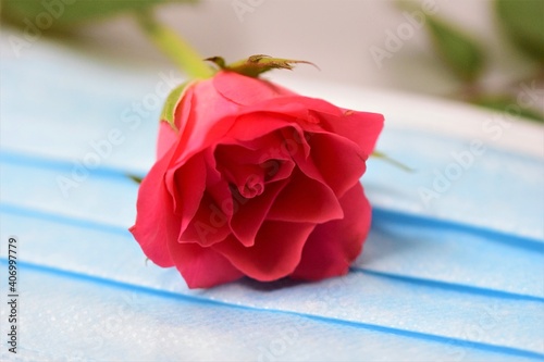 Close up of a pink rose on a surgical mask photo