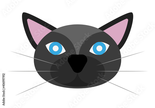 Rostro de gato negro en fondo blanco.