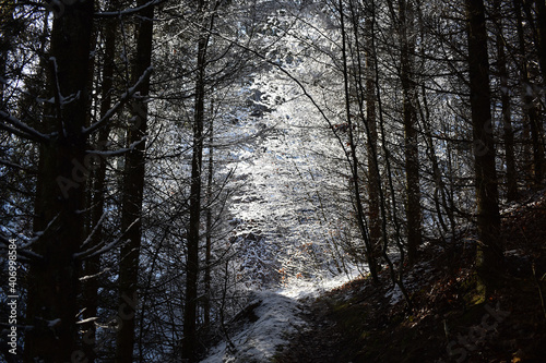 snow on a forest path with sun beams coming through  dens trees  