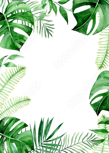 watercolor rectangular frame  green tropical leaves border. palm leaves  monstera  jungle plants. isolated on white background.