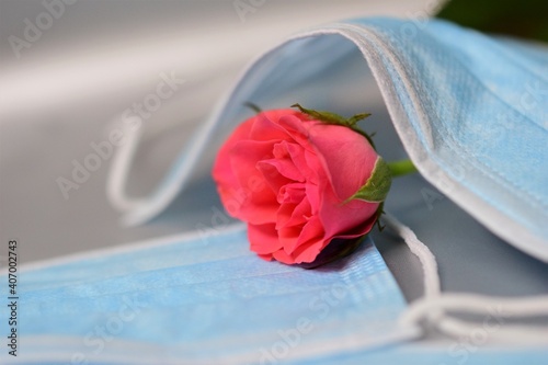 Close up of a pink rose under a surgical mask photo