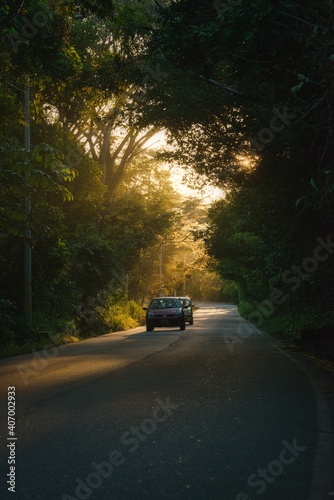 a line of cars go through the middle of a road that has many trees around it.