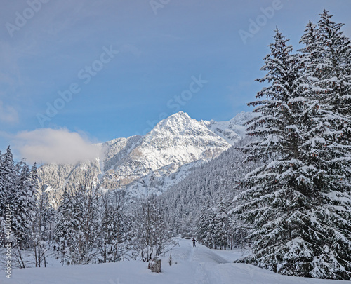 heavy snow covers the mountains and tress of Chamonix in France. A cross country skier carves a path through the deep snow in the forest on a perfect winter day.