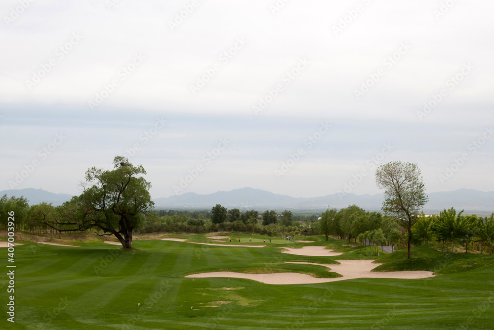 Pictures of Golf Course with green grass Pictures of Golf Course with green grass