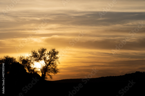 Beautiful Sunset in Countryside