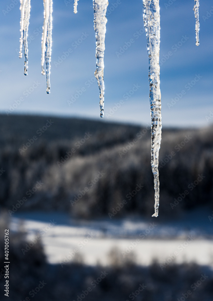 Icicles with a view of the sky and the forest Icicles with a view of the sky and the forest