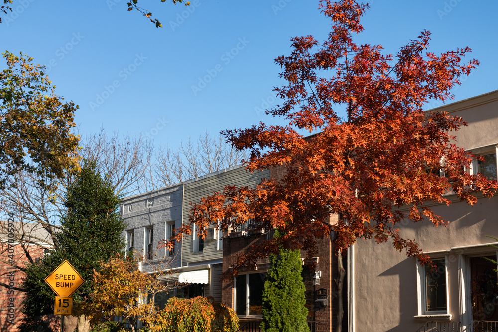 Naklejka premium Row of Old Neighborhood Homes in Astoria Queens New York with Colorful Trees during Autumn