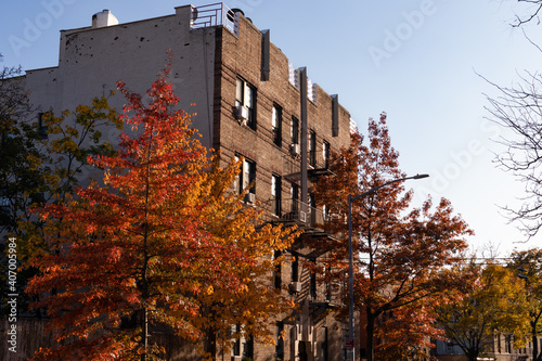 Old Brick Residential Buildings in Astoria Queens New York with Colorful Trees during Autumn