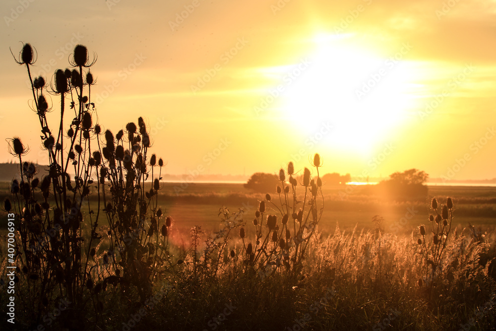 Sunset at the Baltic Sea