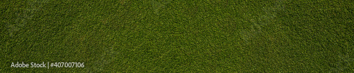 wide background of green grass