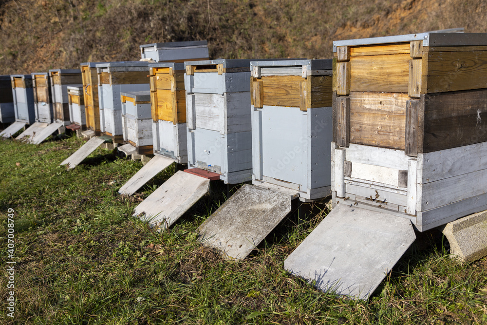 farbige bienenstocke nebeneinander in der sonne farbige bienenstocke nebeneinander in der sonne