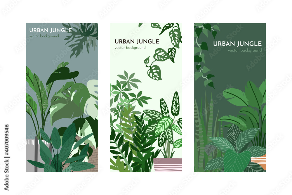 Set of three card templates with indoor plants