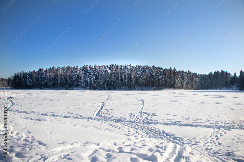 snow covered trees and lake under the snow snow covered trees and lake under the snow
