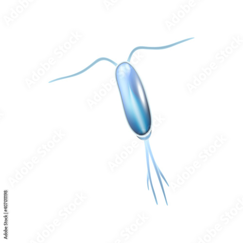 Copepod Plankton Icon