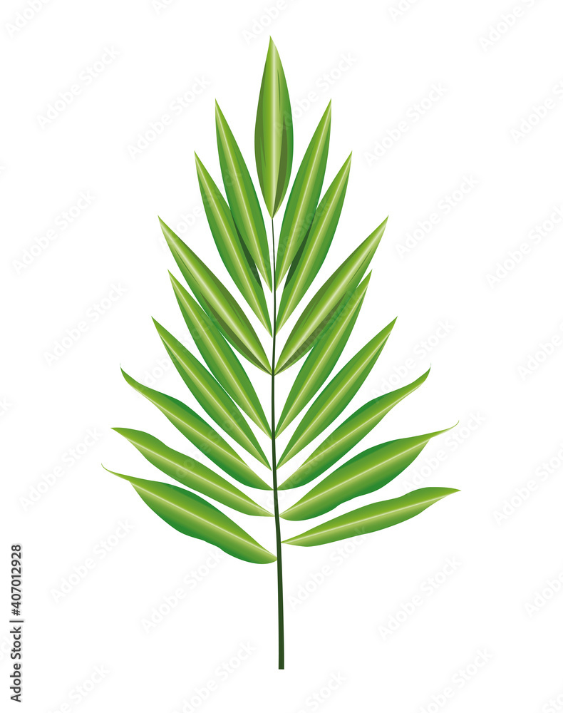 tropical palm leaf nature icon tropical palm leaf nature icon