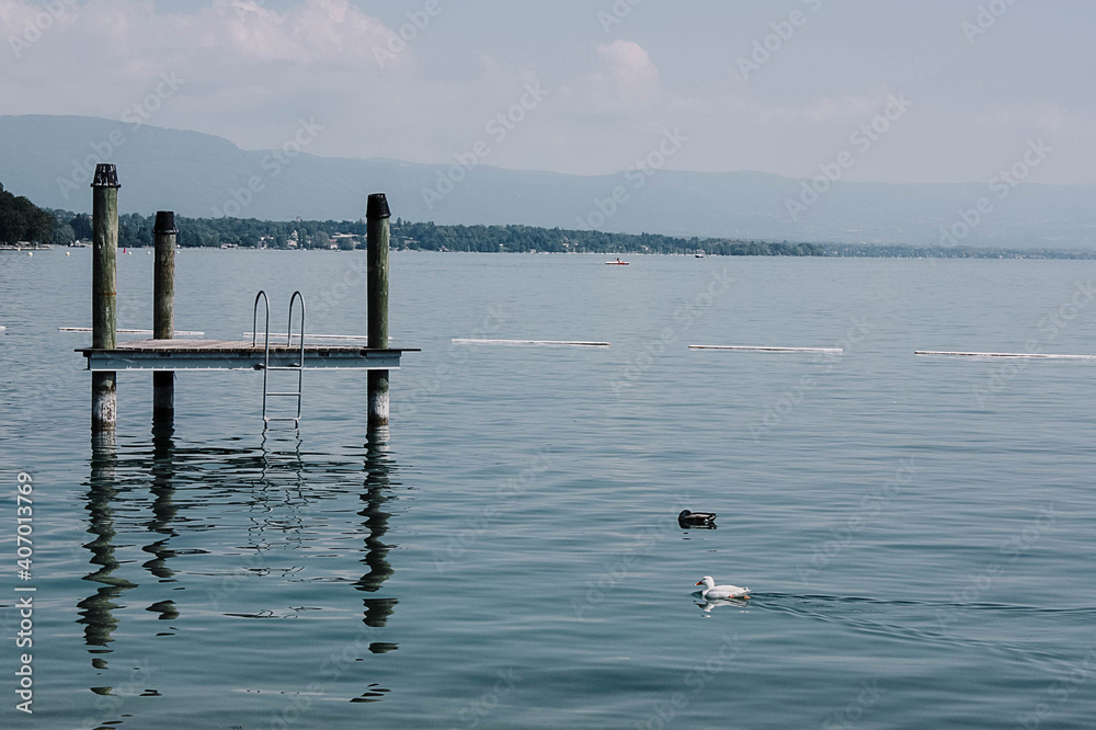 relax lake with swans and platform relax lake with swans and platform