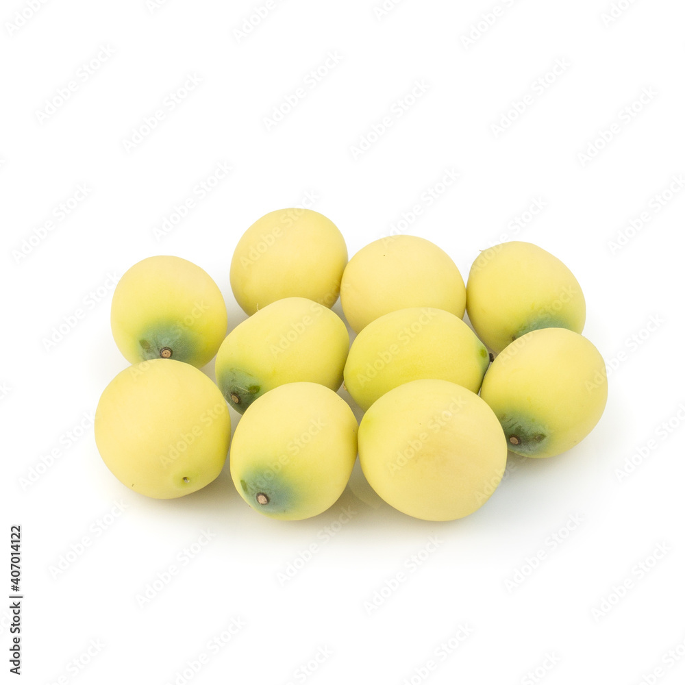 Health Benefits of Lotus Seeds (Makhana Seeds) isolated on white background Health Benefits of Lotus Seeds (Makhana Seeds) isolated on white background