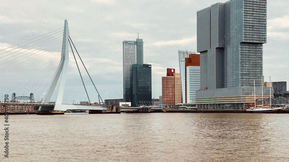 ROTTERDAM , NETHERLANDS - January 13, 2021: View of Rotterdam city Skyline, the Erasmus bridge Erasmusbrug over Nieuwe Maas ROTTERDAM , NETHERLANDS - January 13, 2021: View of Rotterdam city Skyline, the Erasmus bridge Erasmusbrug over Nieuwe Maas