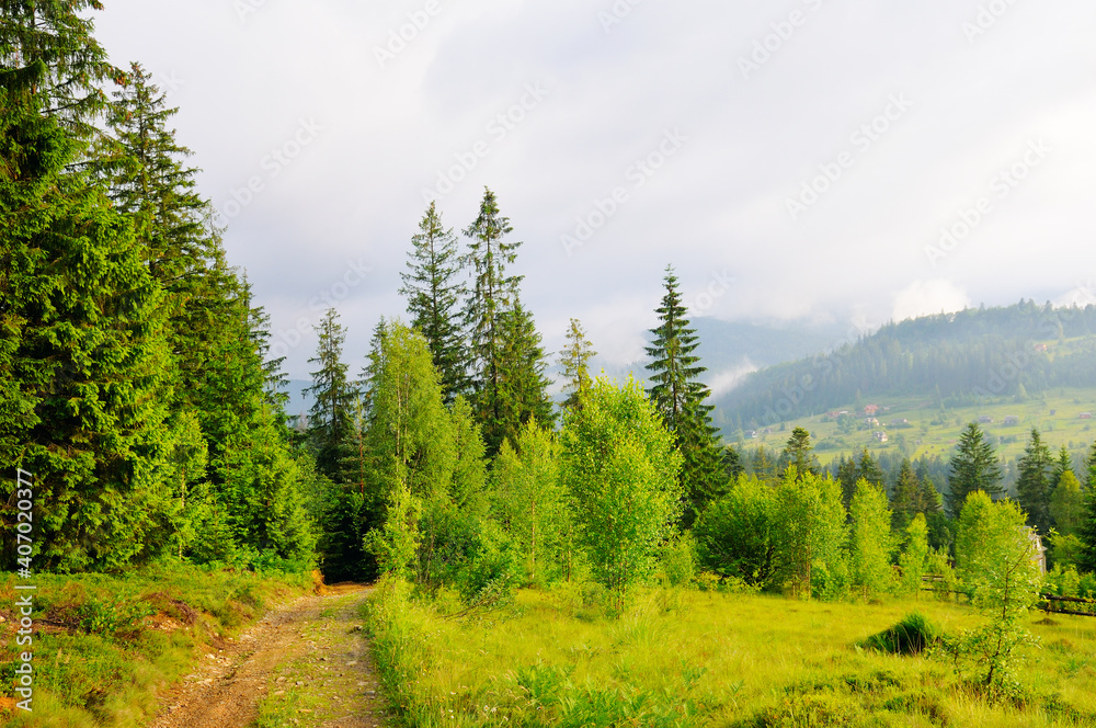 Picturesque mountain landscape. Carpathian mountains Picturesque mountain landscape. Carpathian mountains