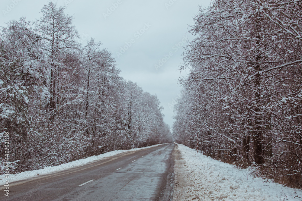 Fototapeta premium winter forest, winter road, forest in the snow, winter 2021