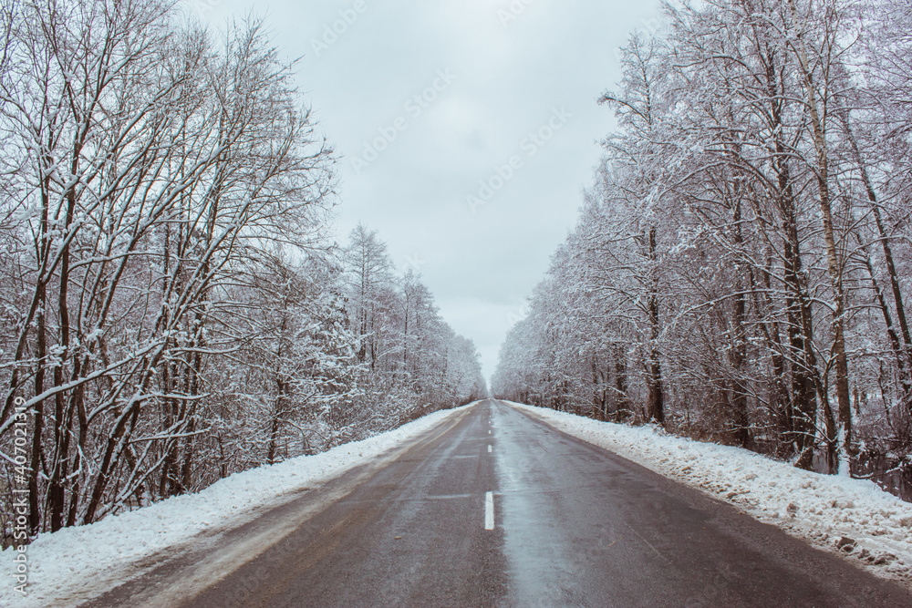 winter forest, winter road, forest in the snow, winter 2021 winter forest, winter road, forest in the snow, winter 2021