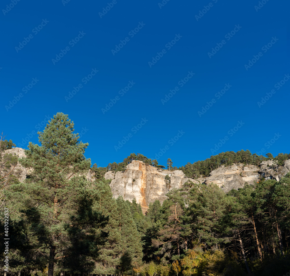 Pine tree forest, cliffs and blue sky