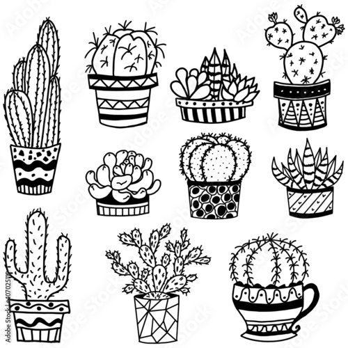 Succulents set. Cactus in the pot. Vector succulents. Cacti on a white background. Desert Plants. Vector illustration. Botanical Cactus Flora Collection. Hand drawn isolated vector succulents.