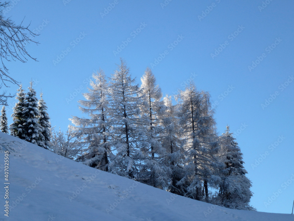 Fototapeta premium Winter hiking tour to Hoher Frassen mountain, Raggal, Austria