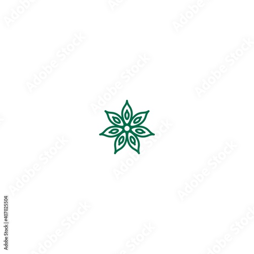 Green Anise star linear icon. Vector flat illustration isolated on white.