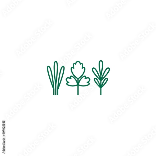 parsley, sage and thyme. set of white line twigs, shoots, sprigs isolated on white.
