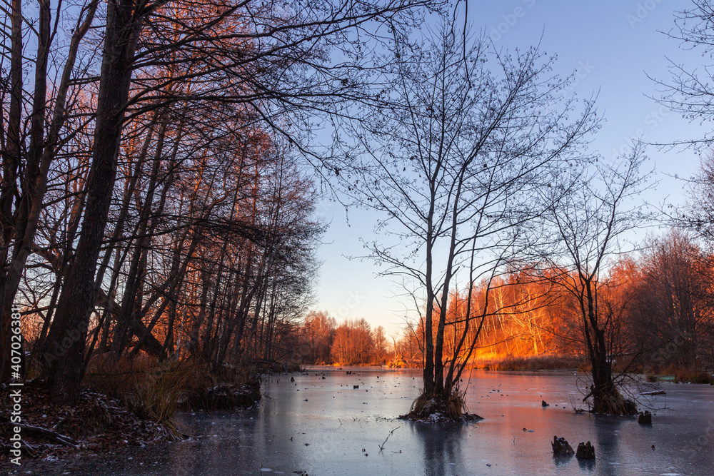 Naklejka premium Bautiful landskape nature in winter