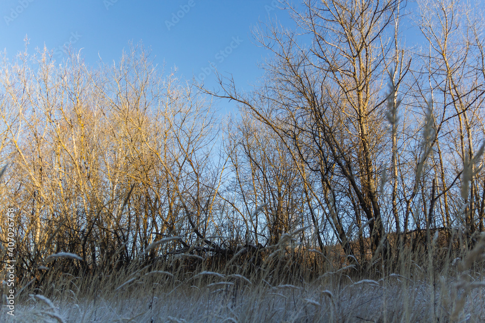 Bautiful landskape nature in winter Bautiful landskape nature in winter