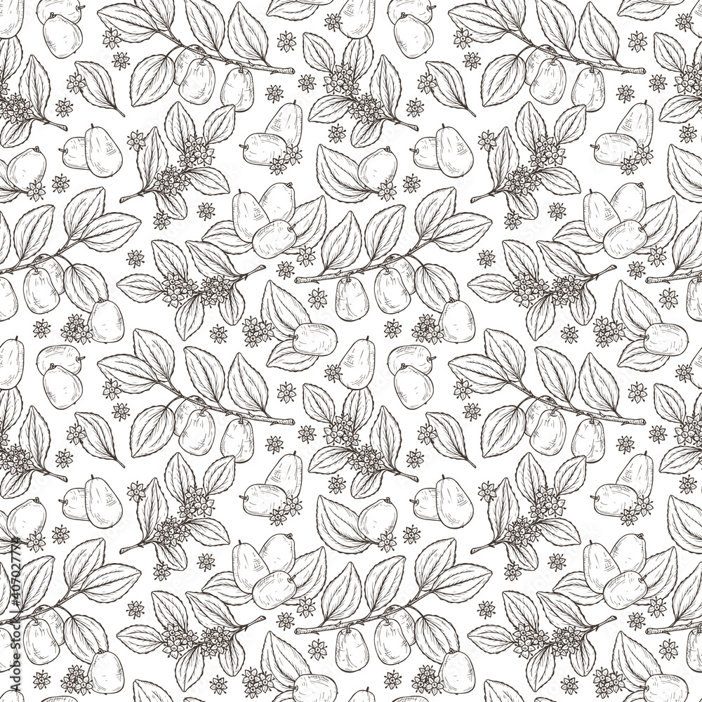 Floral seamless pattern. Exotic tropical fruit Jujube sometimes Ziziphus jujuba or zizyphus, red date, Chinese date, Korean date, Indian date. Leaves, Flowers, Berries. Medicinal plant
