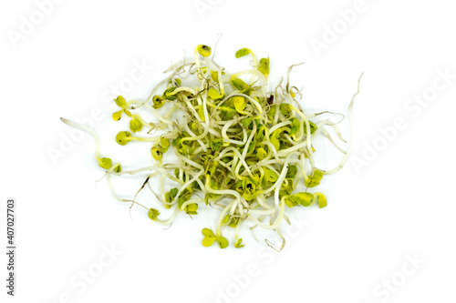 Radish sprouts isolated on white background top view