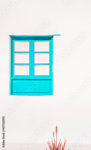 Turquoise wooden window on white clay wall background with dry succulent  aloe vera plant . Typical vacation image from Greece and mediterranean countries.