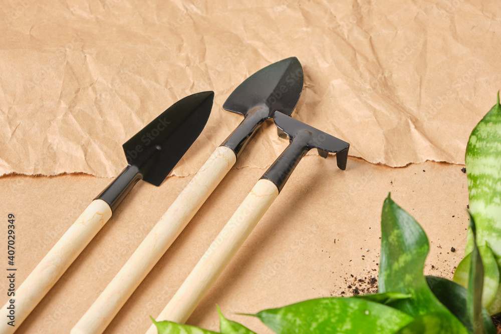 home flowers and floriculture tools abor shovel, rake, scoop, metal