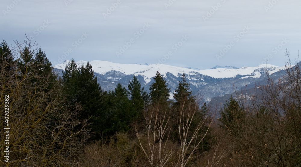 Montagne enneigée