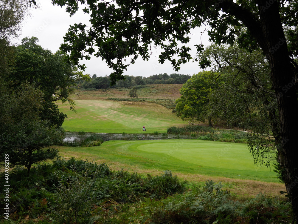 Naklejka premium a green rolling golf course with a lake