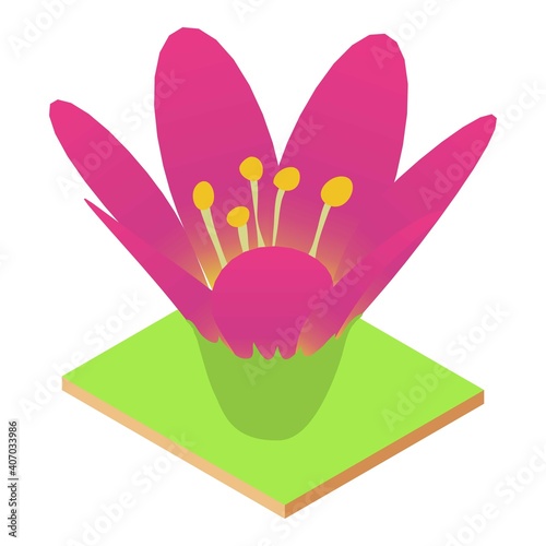 Lotus flower icon. Isometric illustration of lotus flower vector icon for web