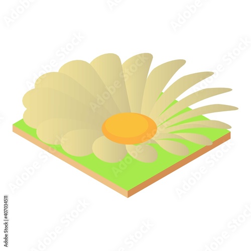 Camomile flower icon. Isometric illustration of camomile flower vector icon for web