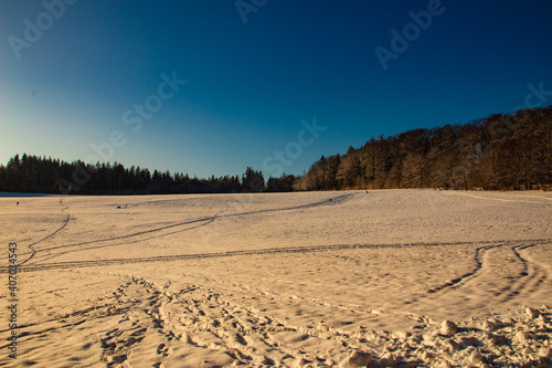 winter landscape with snow