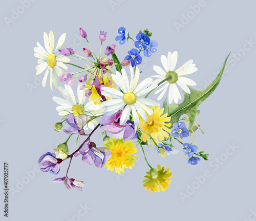 Watercolor composition of wild forest colorful flowers