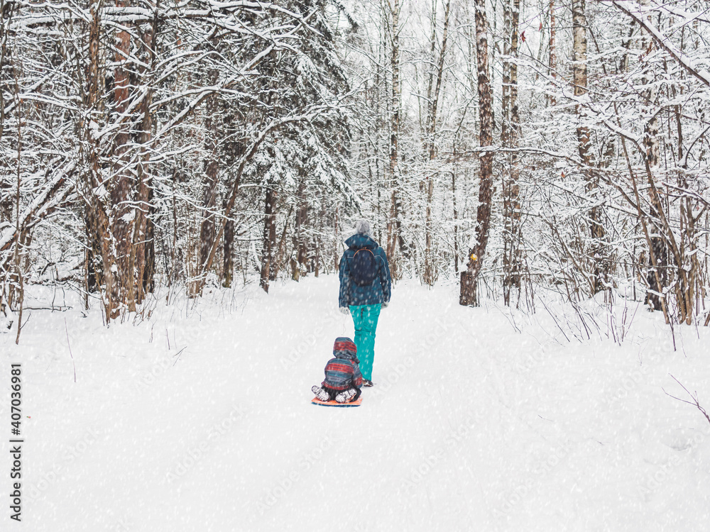 Woman carries child on sledge along path in winter forest. Outdoor leisure activity in cold snowy season. Woman carries child on sledge along path in winter forest. Outdoor leisure activity in cold snowy season.