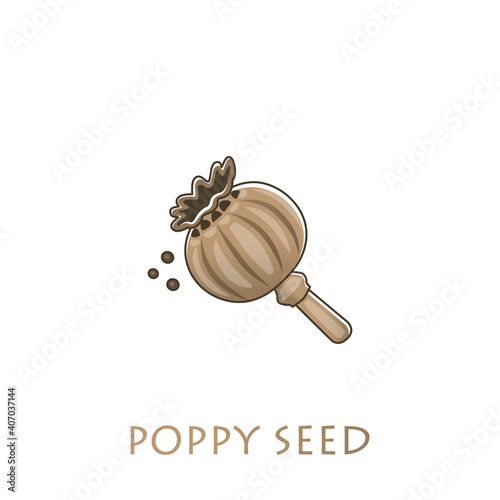Poppy box and poppy seeds on a light background. Vector illustration