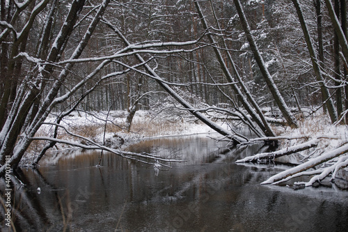 Fototapeta Naklejka Na Ścianę i Meble -  river in winter
