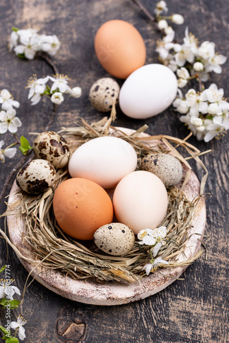Easter composition with eggs and blooming branch
